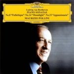 pollini
