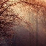 『Occhi di fata(妖精の瞳)』の解説(歌詞・対訳):デンツァ