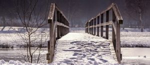 winter